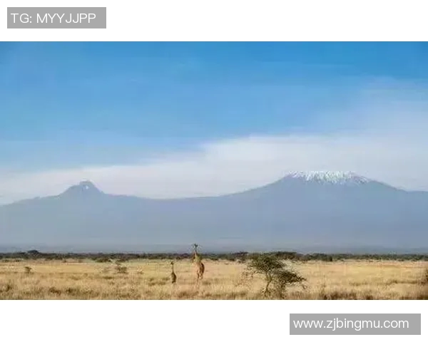 山泽山神与金泽的对决探秘神秘力量与人类智慧的较量